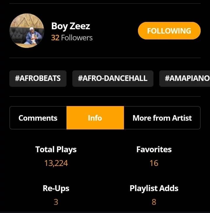 Artist Promotion 6